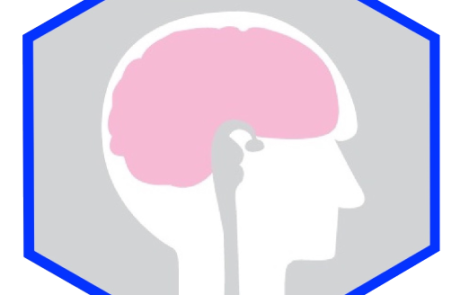 הקלטת יום העיון למתמחים בנושא נוירוכירורגיה תפקודית / יום שישי, ה-27 במאי, 2022
